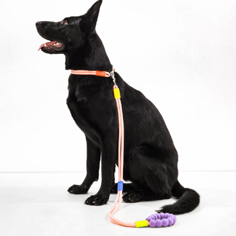 Cotton Candy Dual-Section Braided Dog Walking Lead
