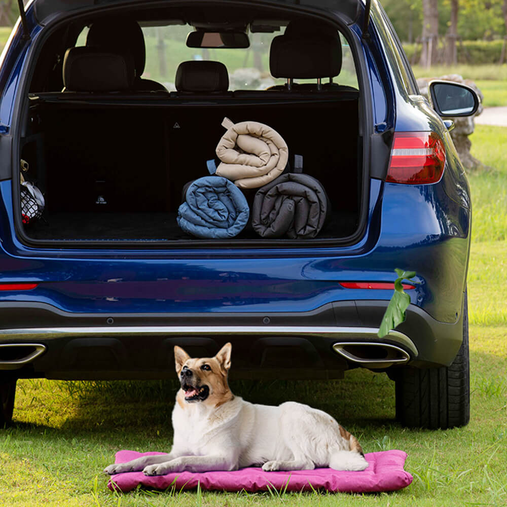 Outdoor Utility Style Waterproof Foldable Pet Mat for Car and Camping