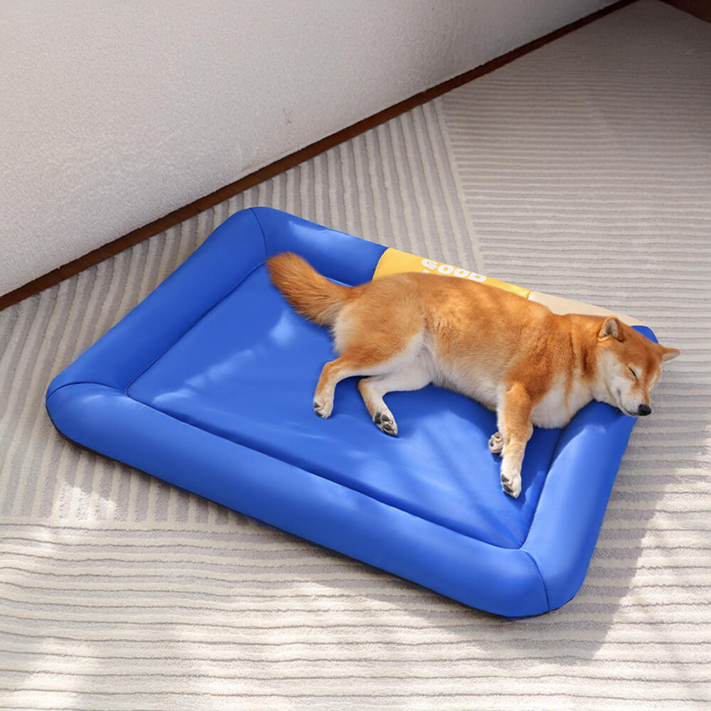 Colourblock Waterproof Scratch-Resistant All-Season Dog Mat