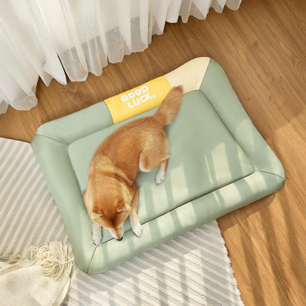 Colourblock Waterproof Scratch-Resistant All-Season Dog Mat