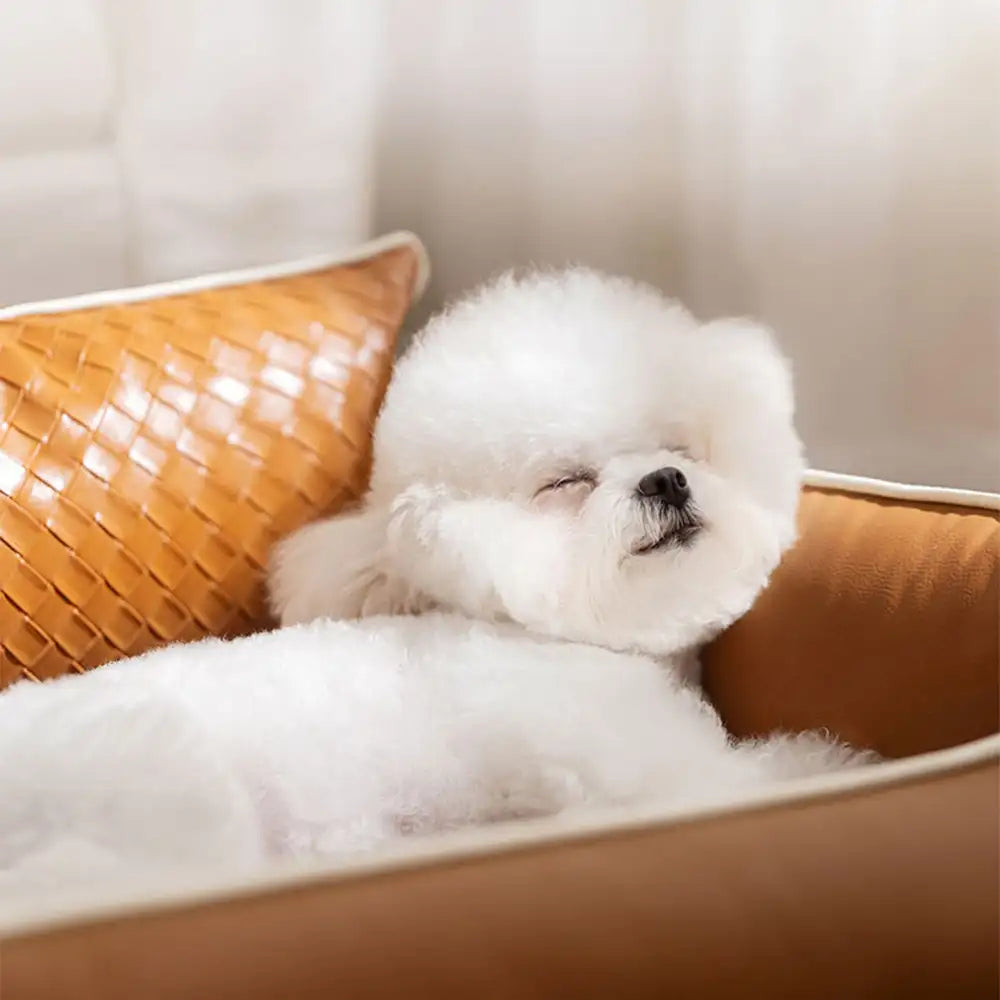 Faux Leather Waterproof Latex Protective Spine Dog Sofa Bed