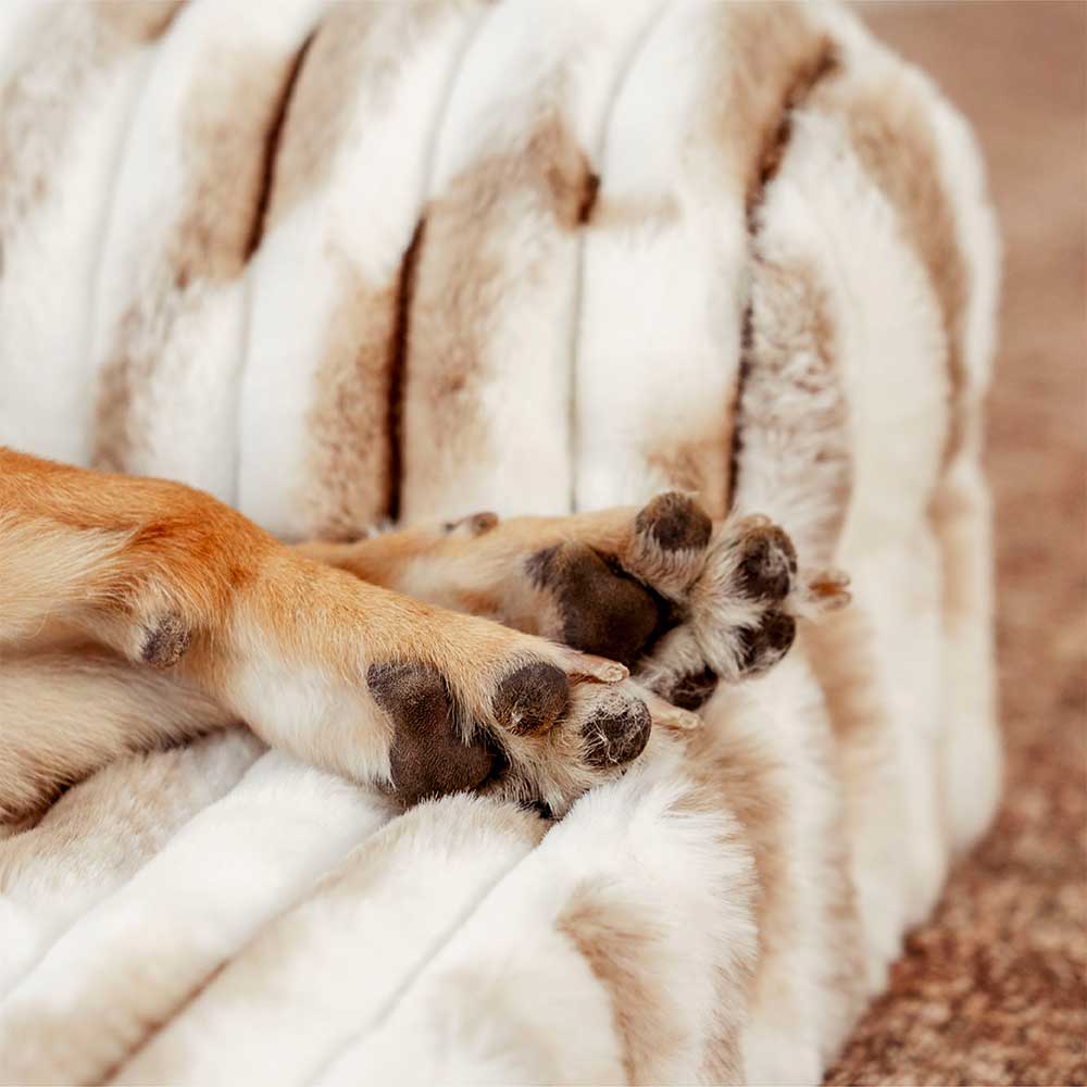 Fluffy Striped Orthopaedic Bolster Dog Bed - Luxe Comfort