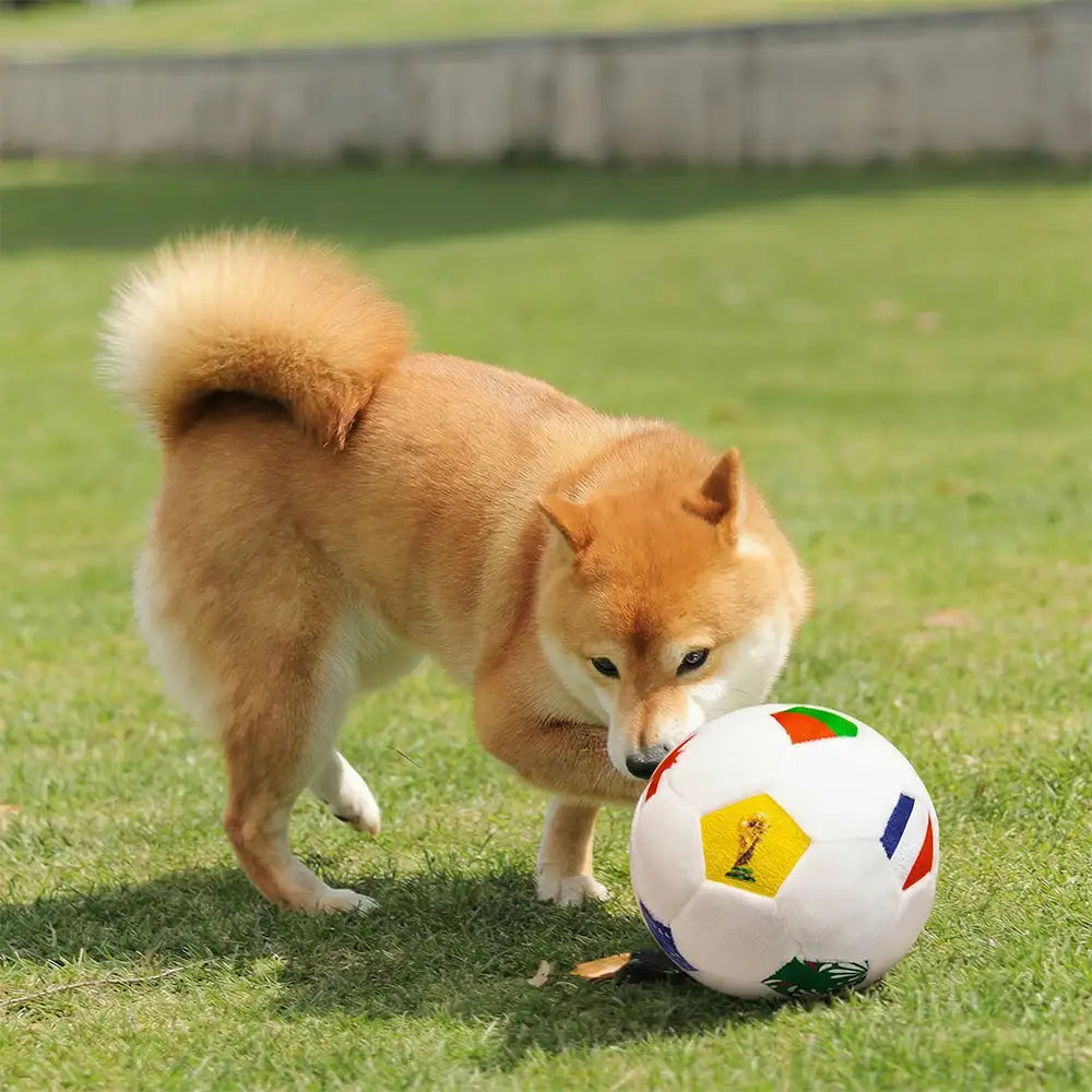 Football Plush Pillow Doy Toy Interactive Dog Toys