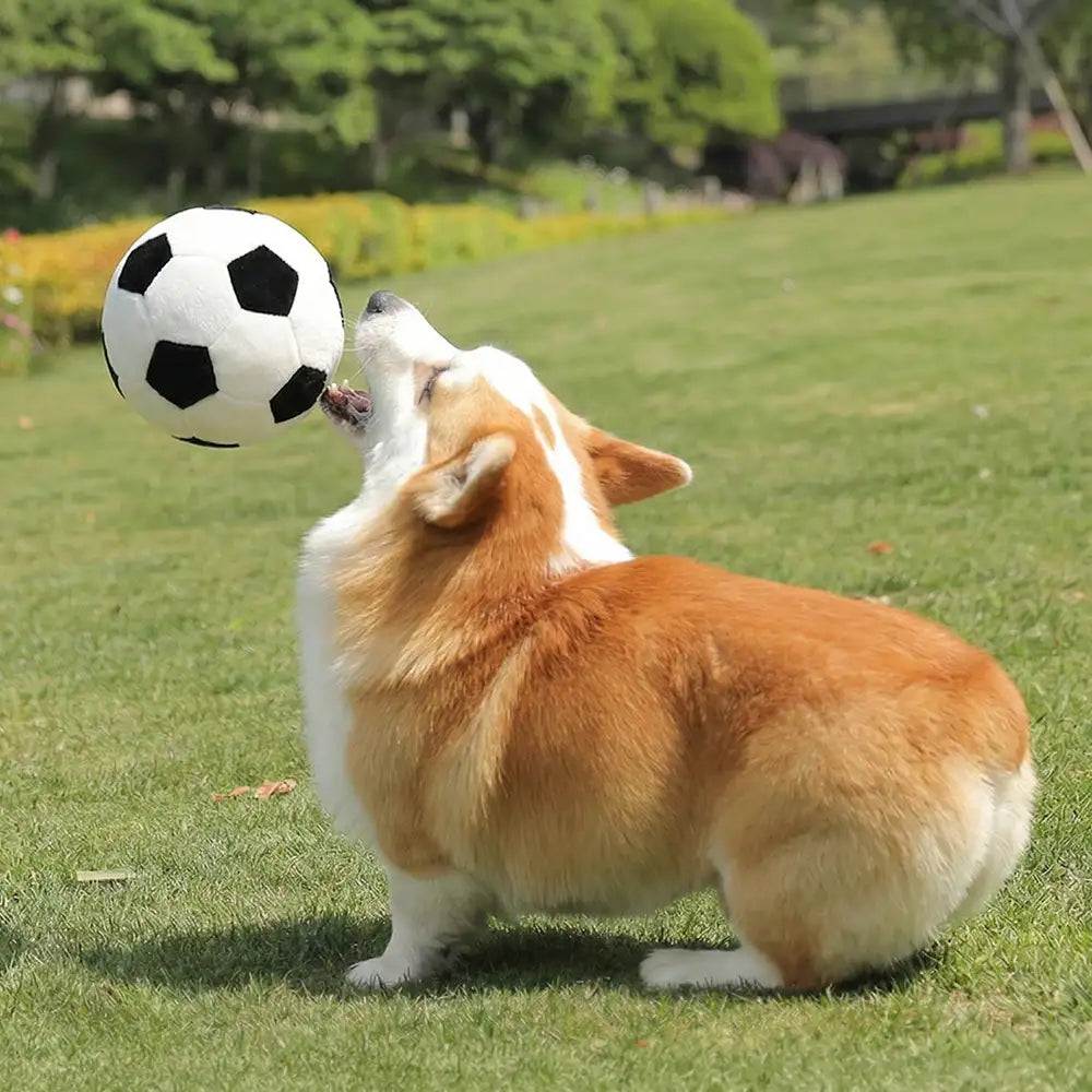 Football Plush Pillow Doy Toy Interactive Dog Toys