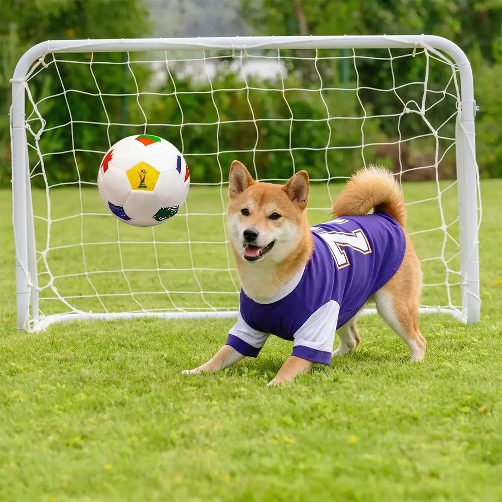 Football Plush Pillow Doy Toy Interactive Dog Toys