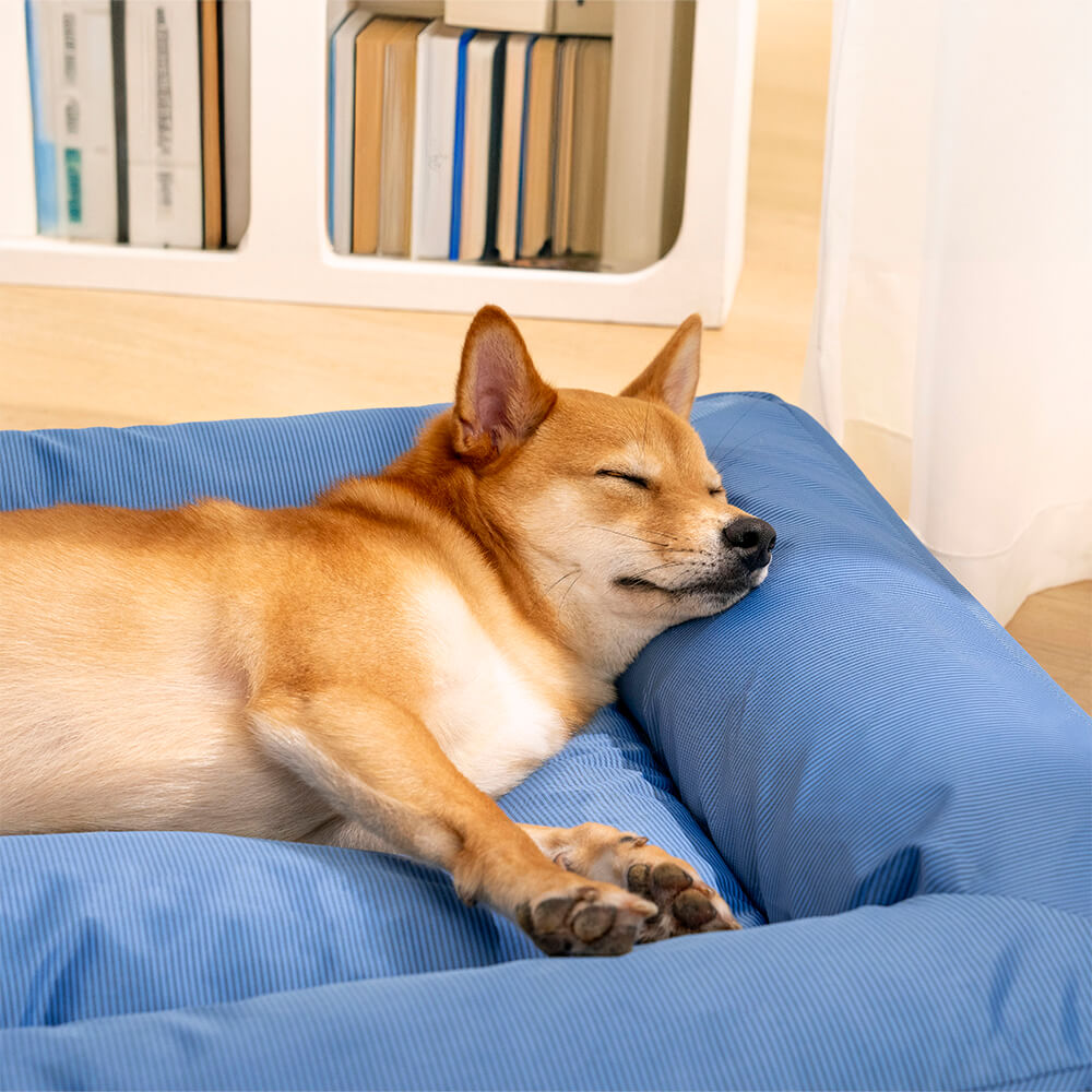 Fully Orthopedic Surround Support Waterproof Large Dog Bed - Pet-Friendly Bedroom