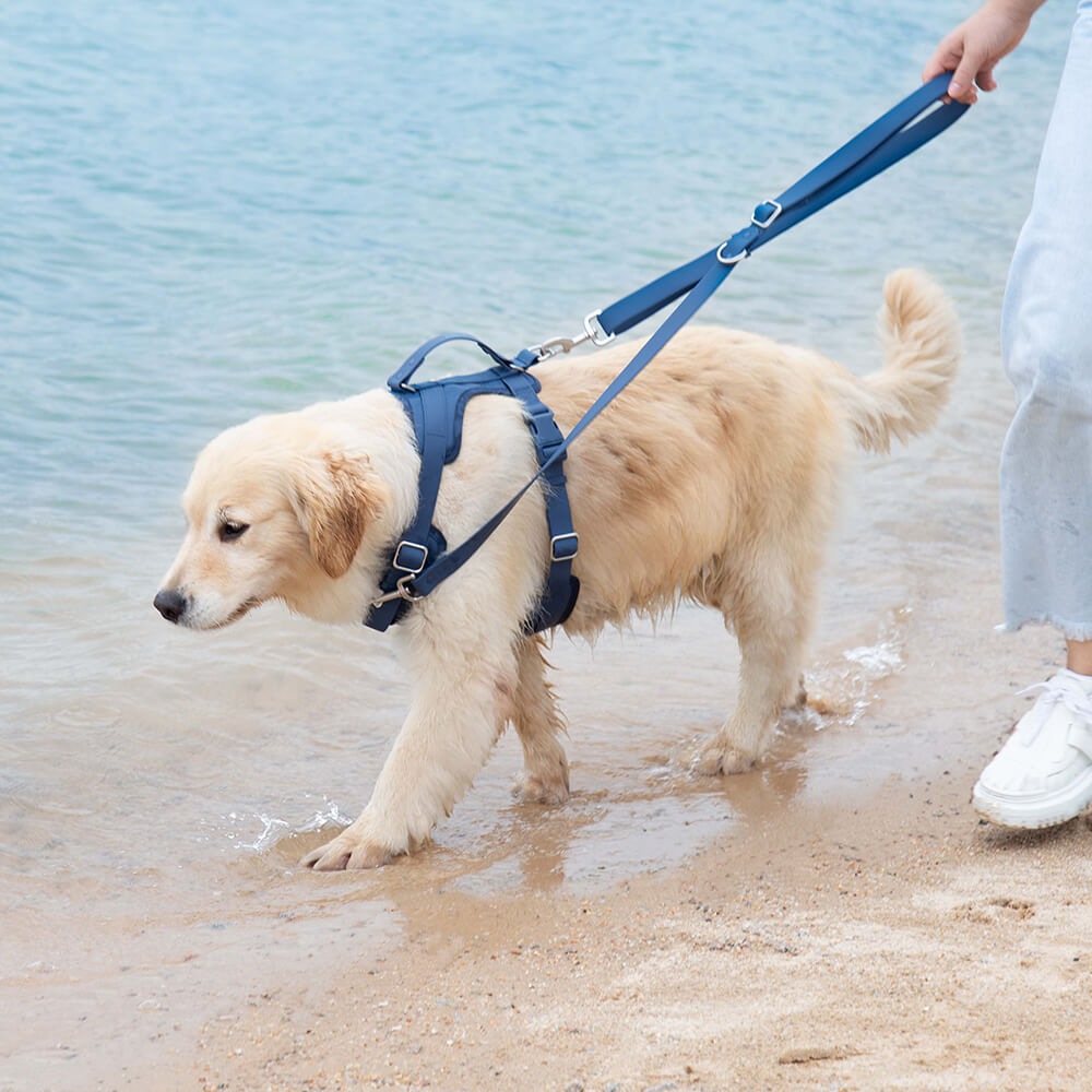 Gummy Dog Leash - FUNNYFUZZY