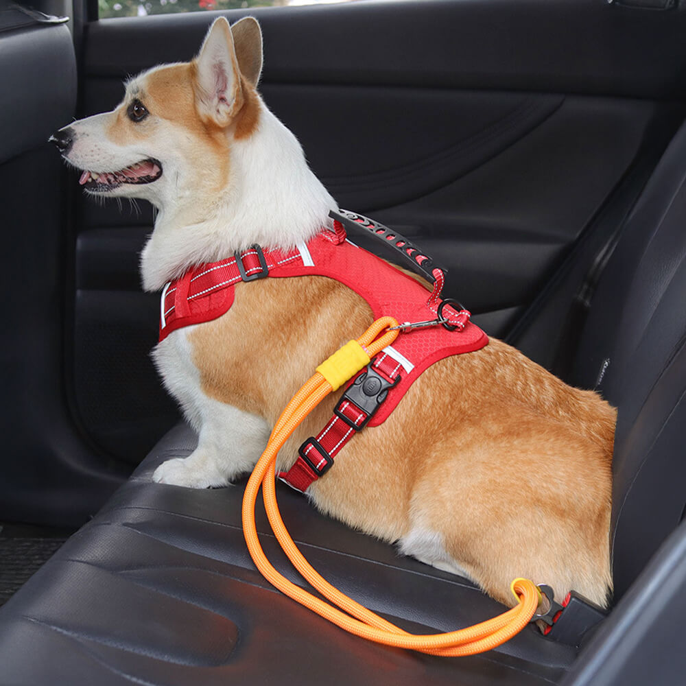 Anti-pull Nylon Dog Car Seat Safety Belt