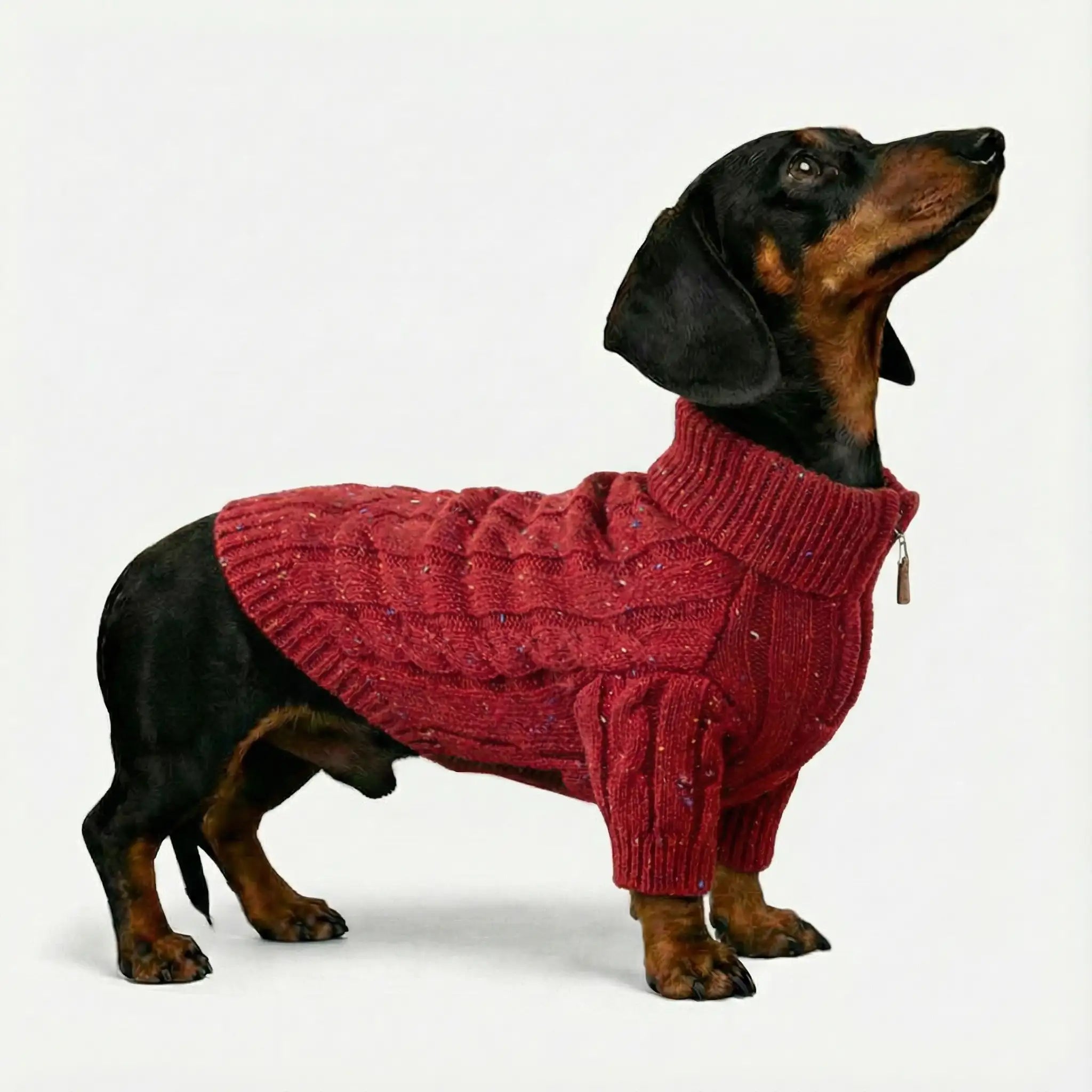 Cable Knit Zipper Collar Dachshund Dog Jumper