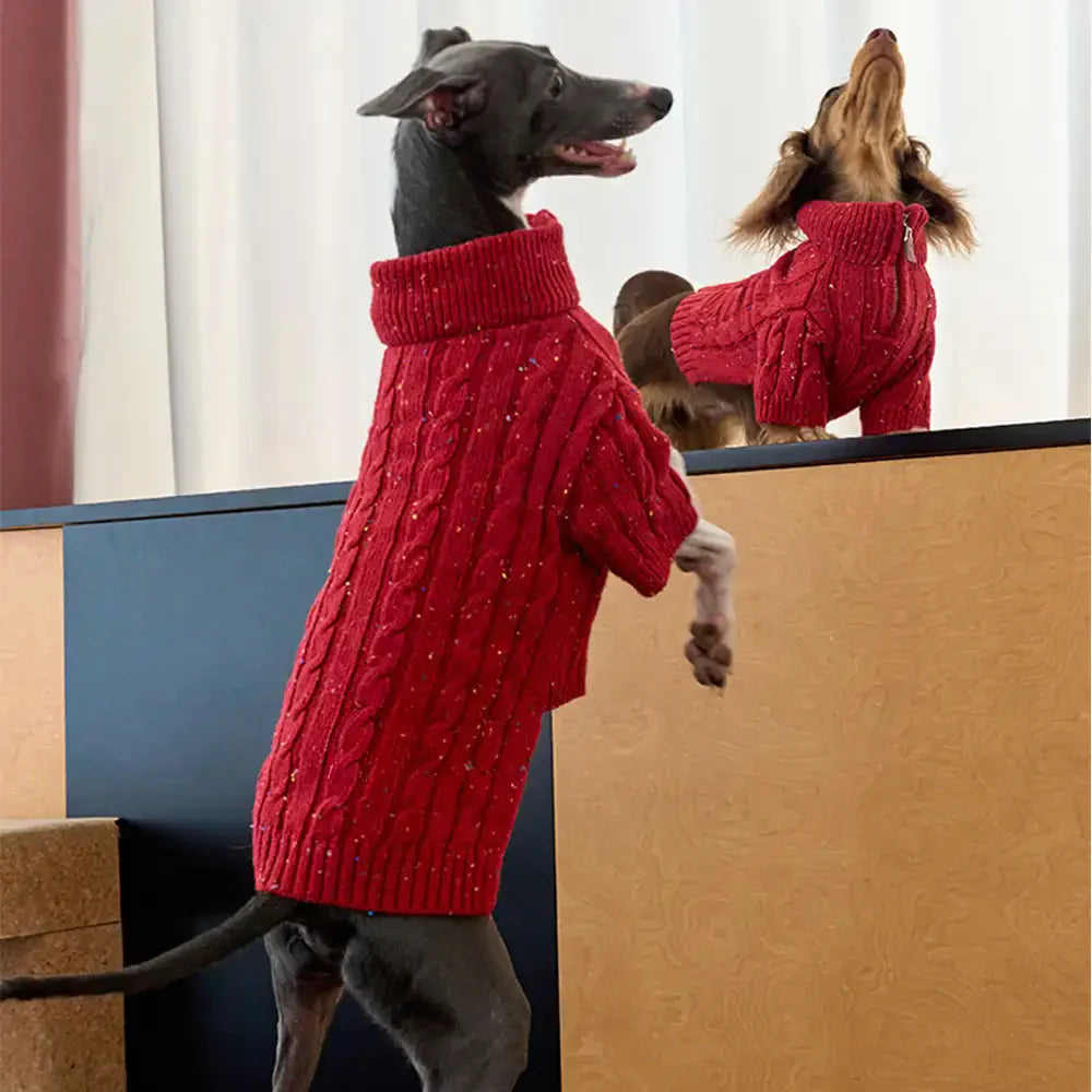 Cable Knit Zipper Collar Dachshund Dog Jumper