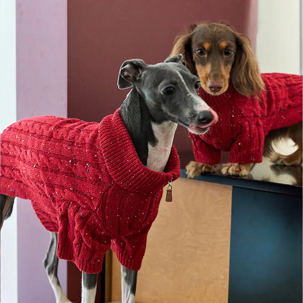 Cable Knit Zipper Collar Dachshund Dog Jumper