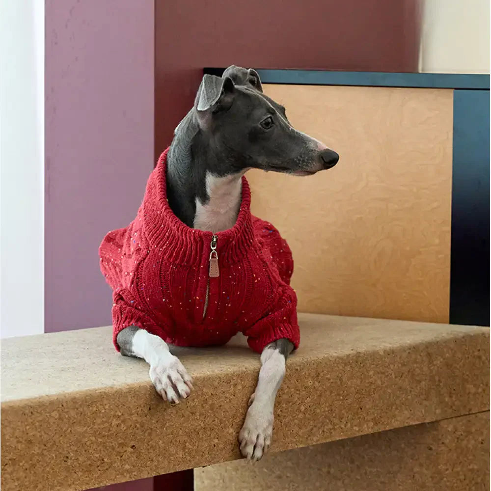 Cable Knit Zipper Collar Dachshund Dog Jumper