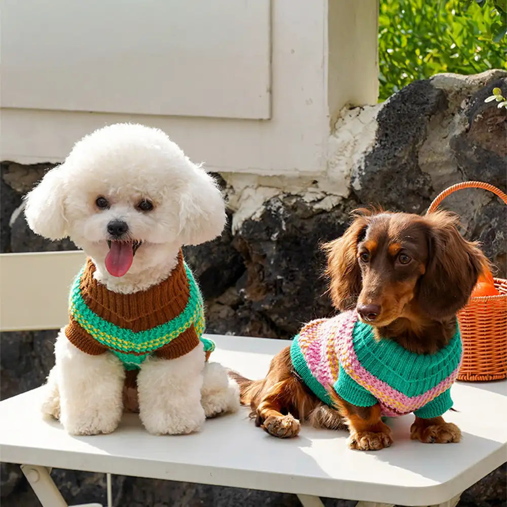 Color Blocked Striped Dachshund Dog Jumper