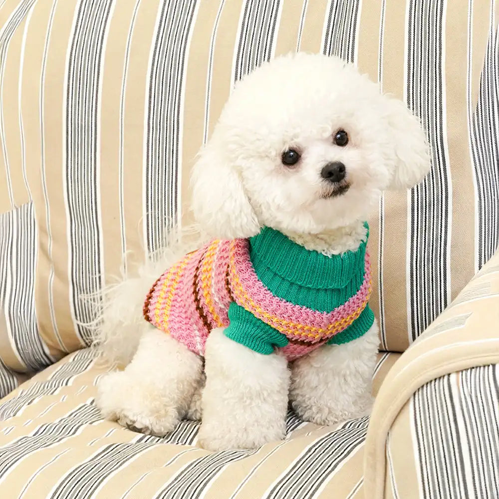 Color Blocked Striped Dachshund Dog Jumper