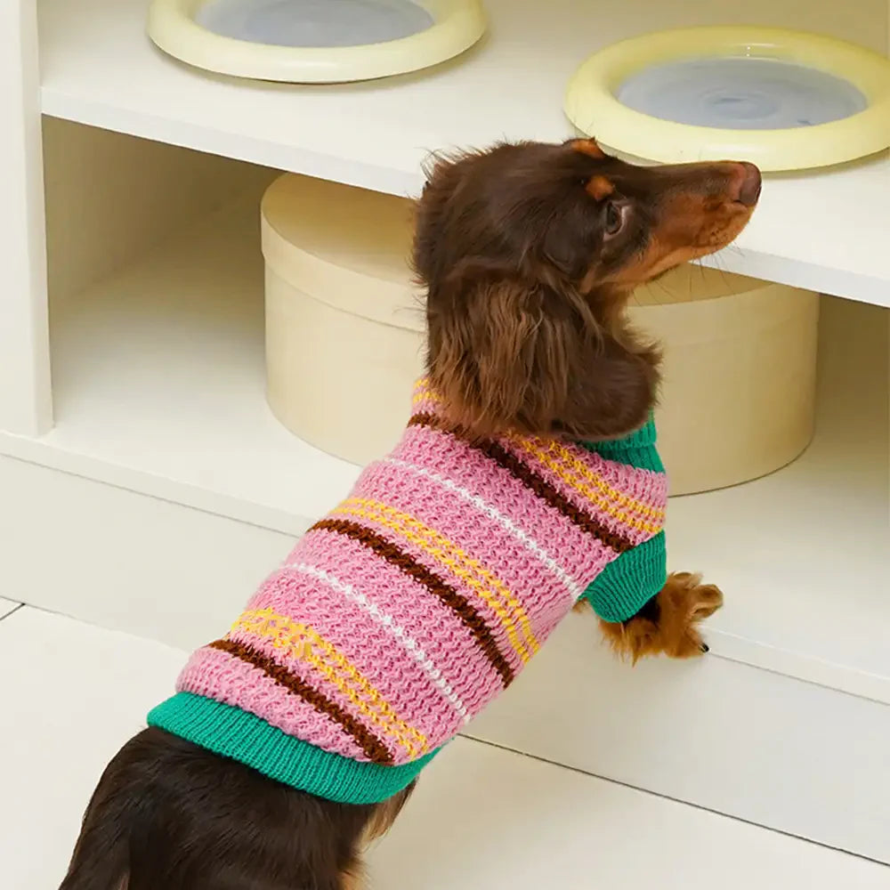 Color Blocked Striped Dachshund Dog Jumper