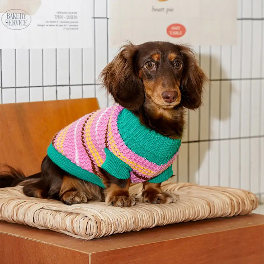 Color Blocked Striped Dachshund Dog Jumper