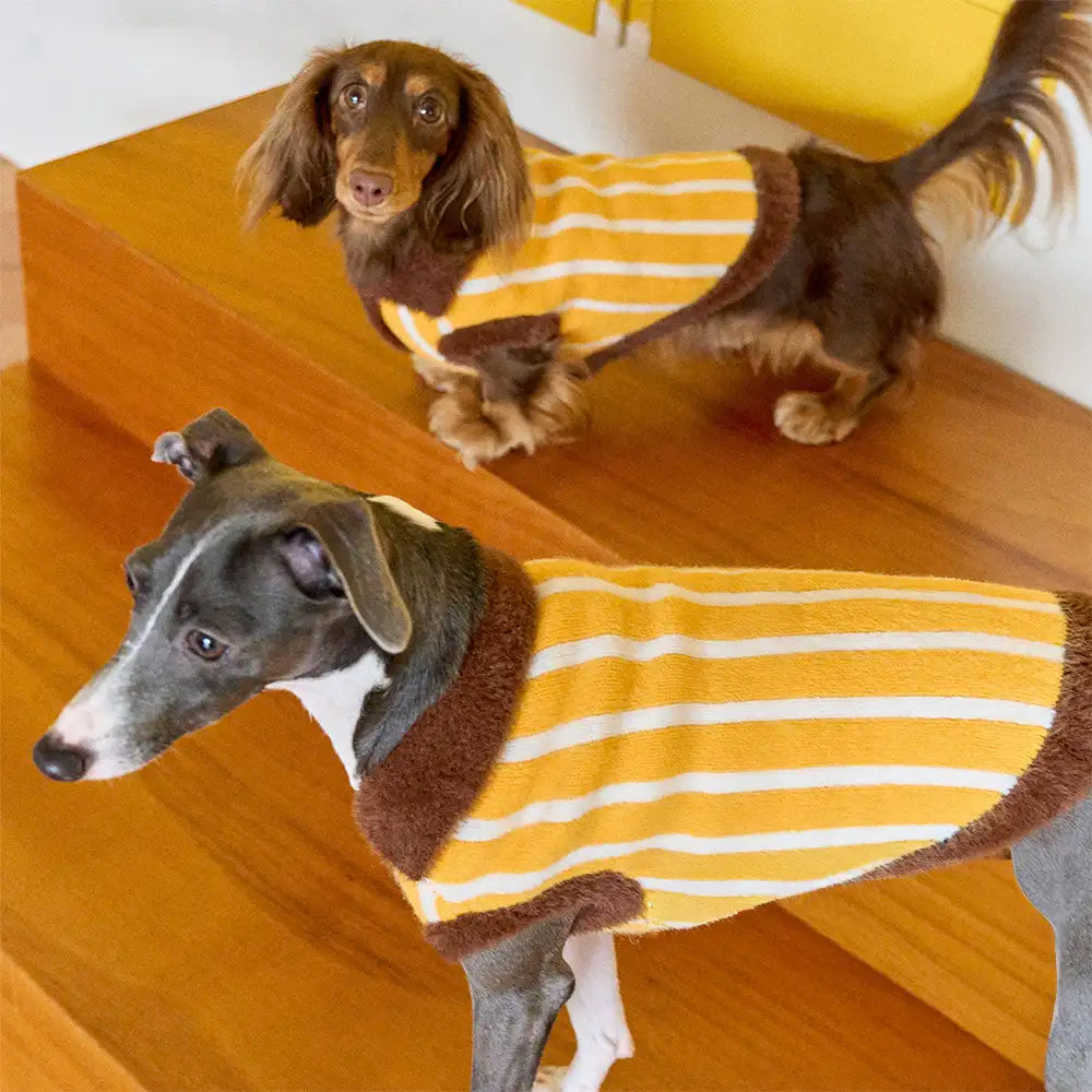 Color Blocked Striped Dachshund Polo Collar Dog Jumper Dog Clothes Sweater
