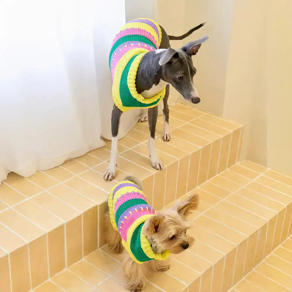 Color Blocked Striped Dachshund Sleeveless Dog Jumper