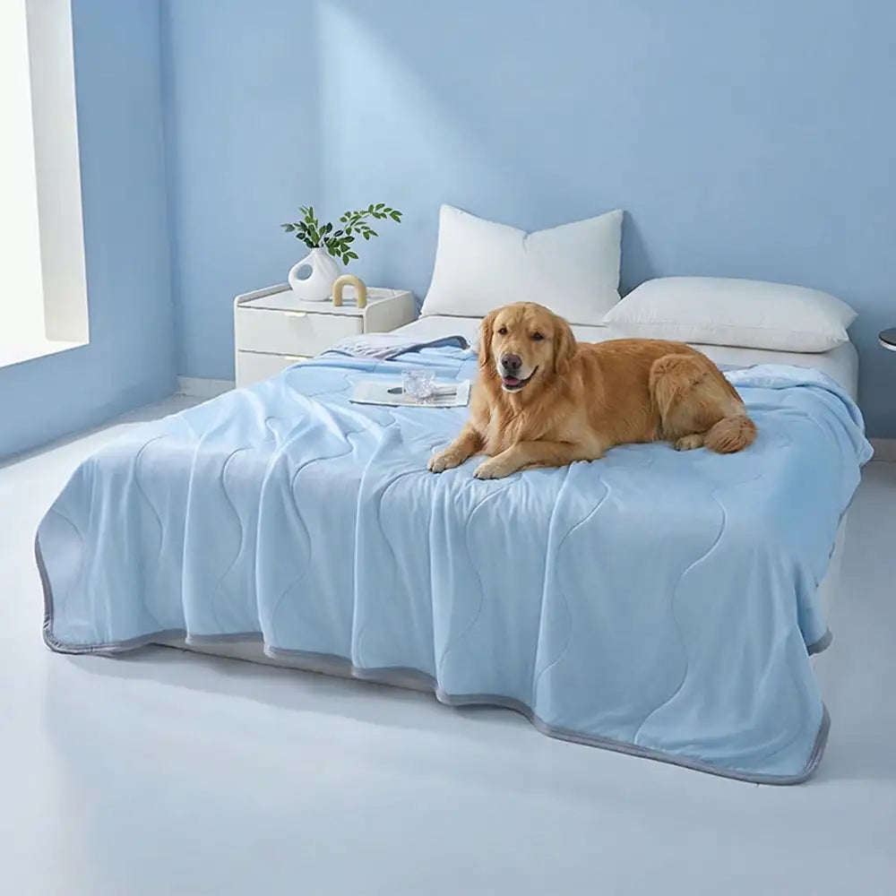 Cooling Ice Silk Double-Sided Heat-Absorbing Blanket - Wave