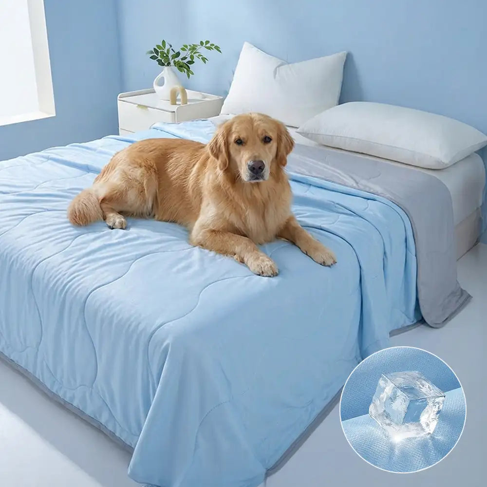 Cooling Ice Silk Double-Sided Heat-Absorbing Blanket - Wave