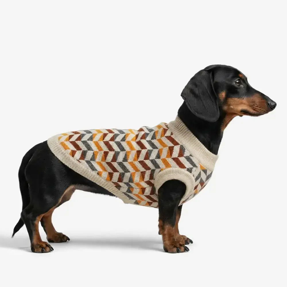 Diamond Striped Dachshund Dog Jumper Dog Clothes Sweater