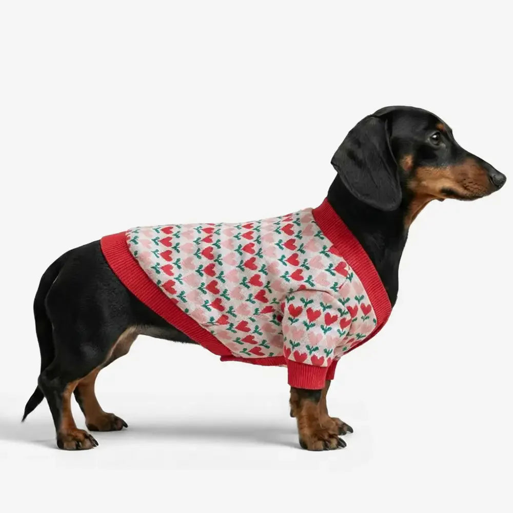 Fair Isle Heart Patterned Dachshund Cardigan Dog Jumper Dog Clothes Sweater