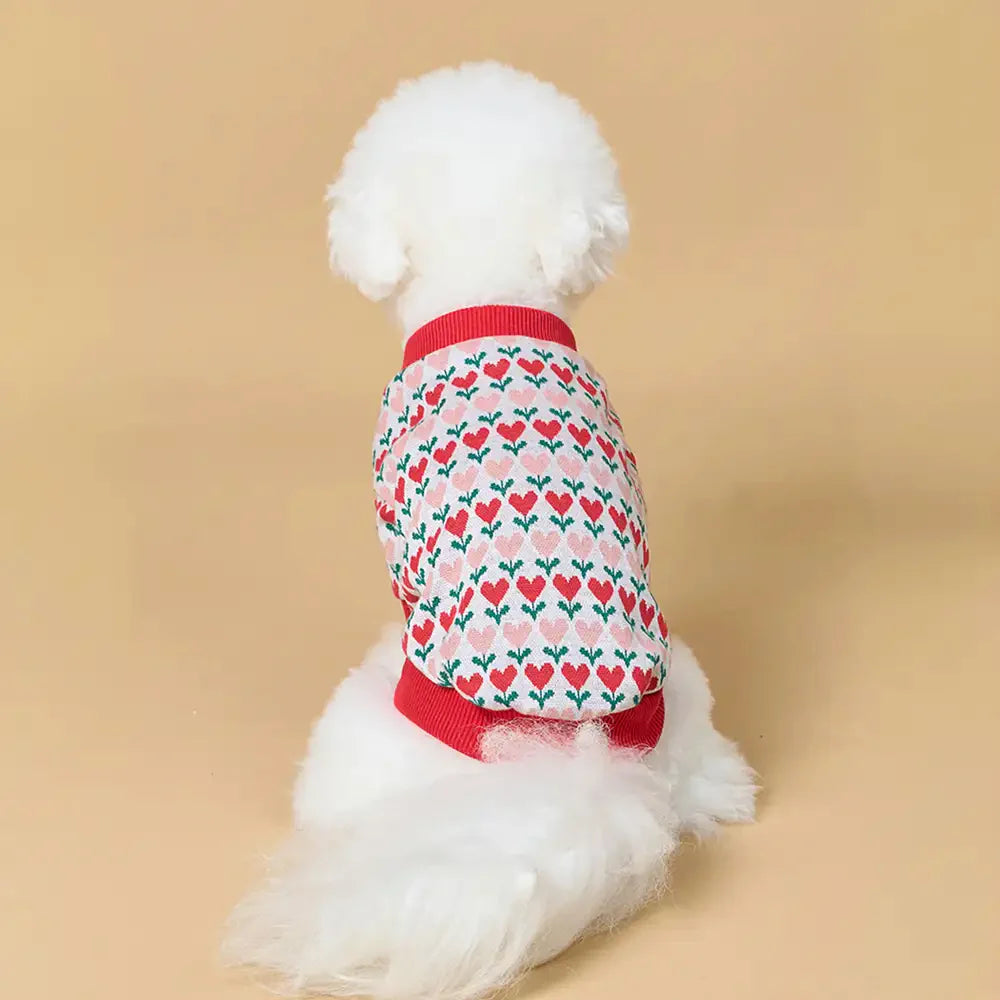 Fair Isle Heart Patterned Dachshund Cardigan Dog Jumper Dog Clothes Sweater