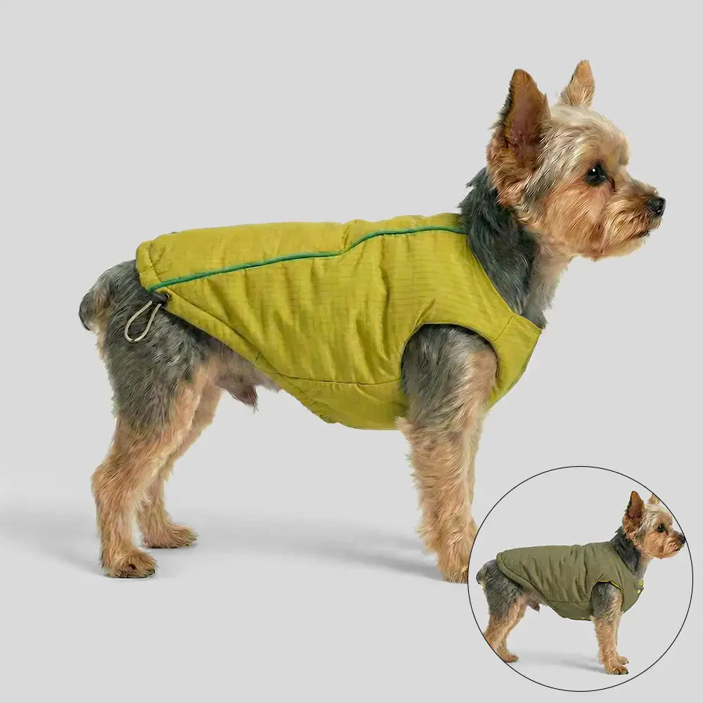 Fashion Reversible Padded Thick Warm Dog Jacket