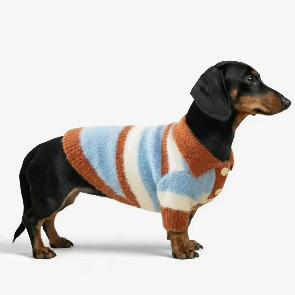 Faux Wool Color-Block Dog Jumper with Striped Collar