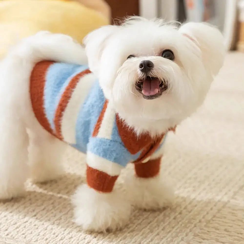 Faux Wool Color-Block Dog Jumper with Striped Collar