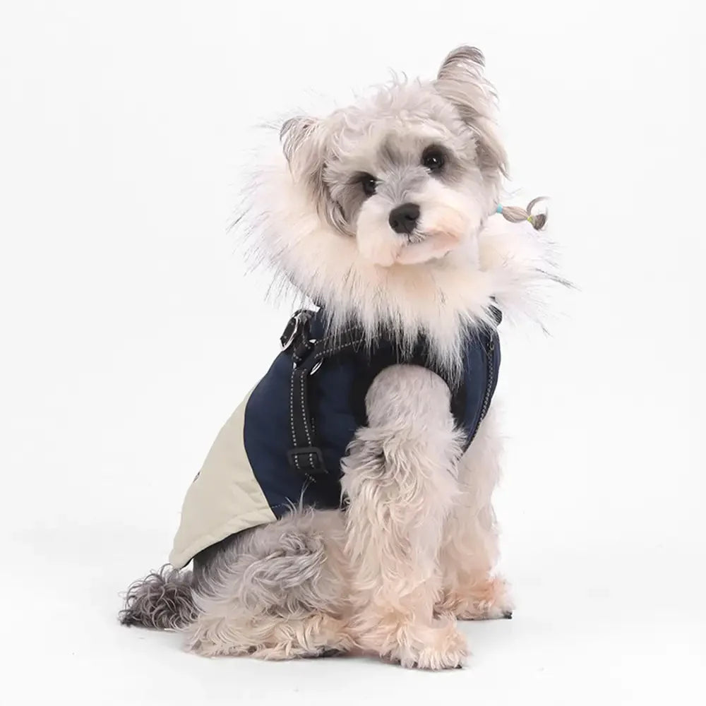 Fur-Trim Hooded Warm Dog Coat with Leash Buckle
