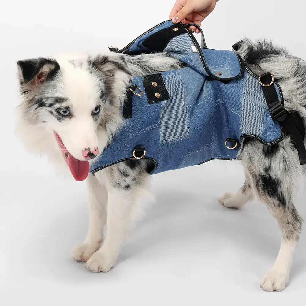 Hands-Free Dog Backpack Carrier for Travel & Hiking – Multifunctional Backpack