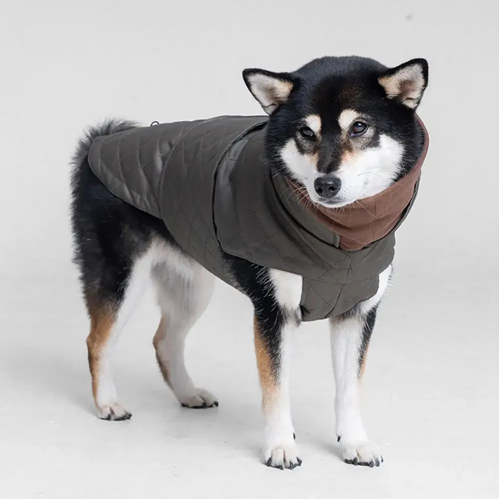 High-Neck Quilted Dog Coat – Warm Fashion Winter Coat