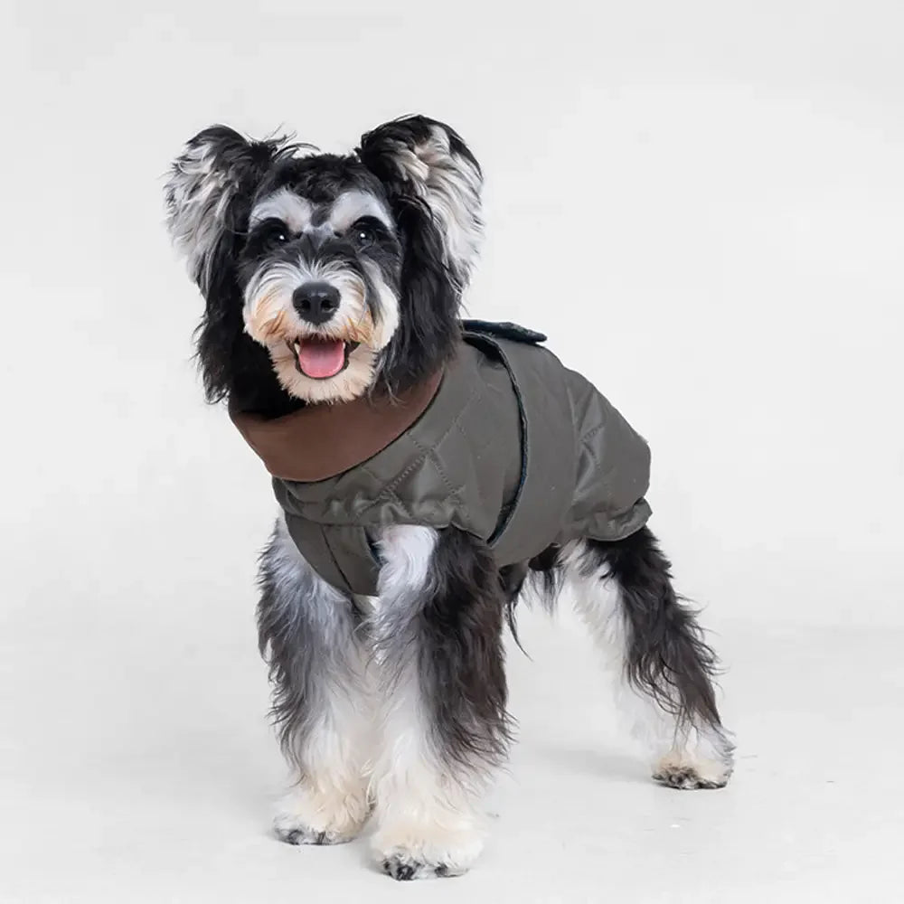 High-Neck Quilted Dog Coat – Warm Fashion Winter Coat