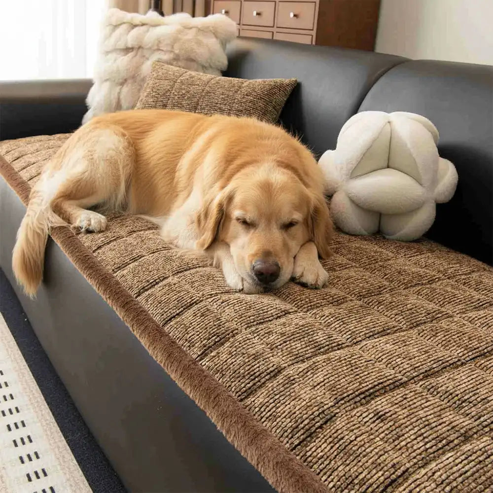 Pet-Friendly Chenille Textured Non-Slip Sofa Cover with Frayed Edges