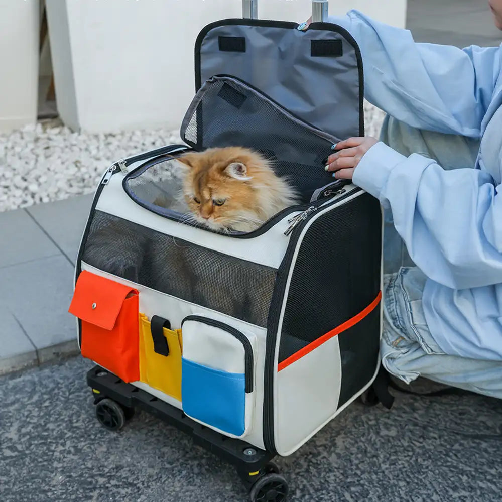 Portable Rolling Pet Backpack Carrier with Detachable Trolley Cat Carrier Dog Carrier