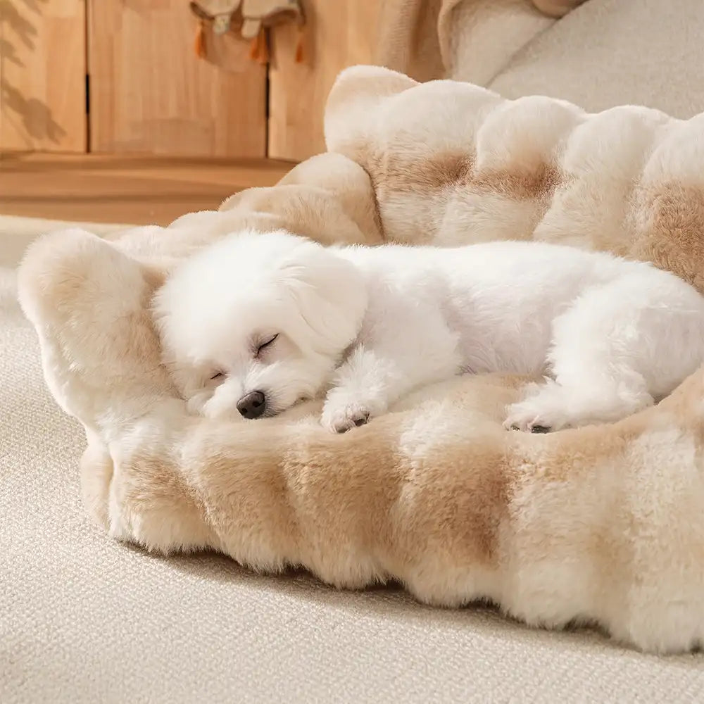 Tie-Dye Colour Fluffy Plush Lazy Comfortable Dog & Cat Sofa Bed