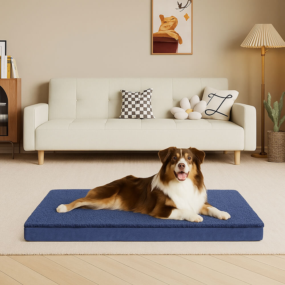 Waterproof Orthopaedic Removable Memory Foam Large Dog Bed