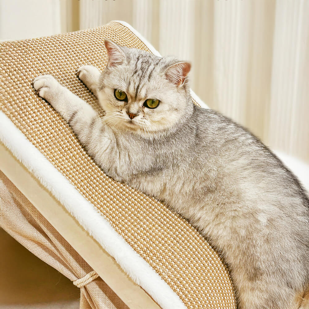 All-in-One Cat Tent with Scratching Roof and Cosy Sleeping Area