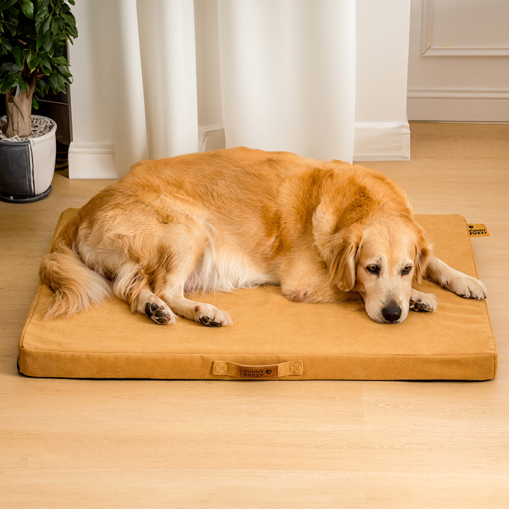 Portable Orthopaedic Foam Support Bed Dog Bed