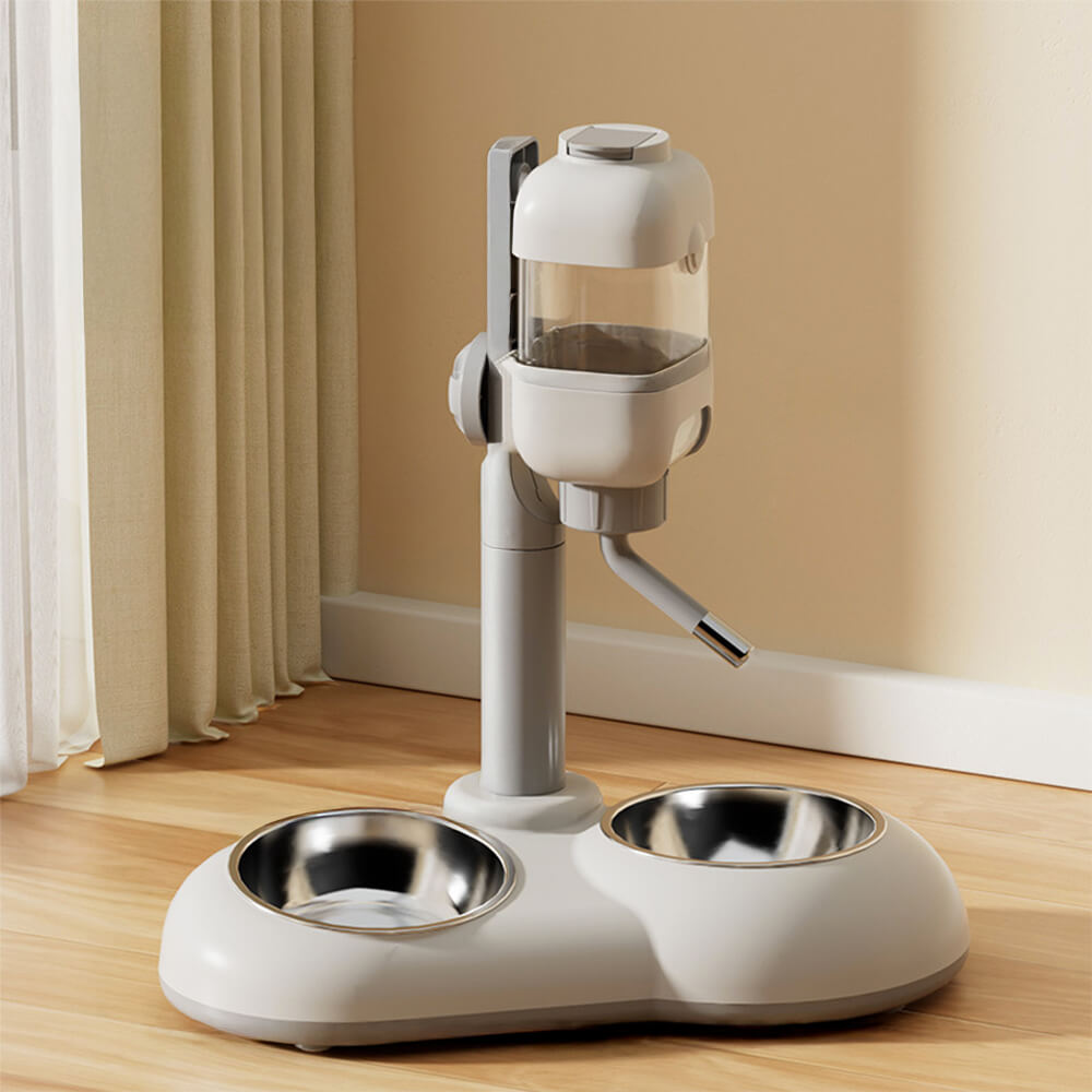 Pet Feeding Bowl Station Food Dispenser With Automatic Water