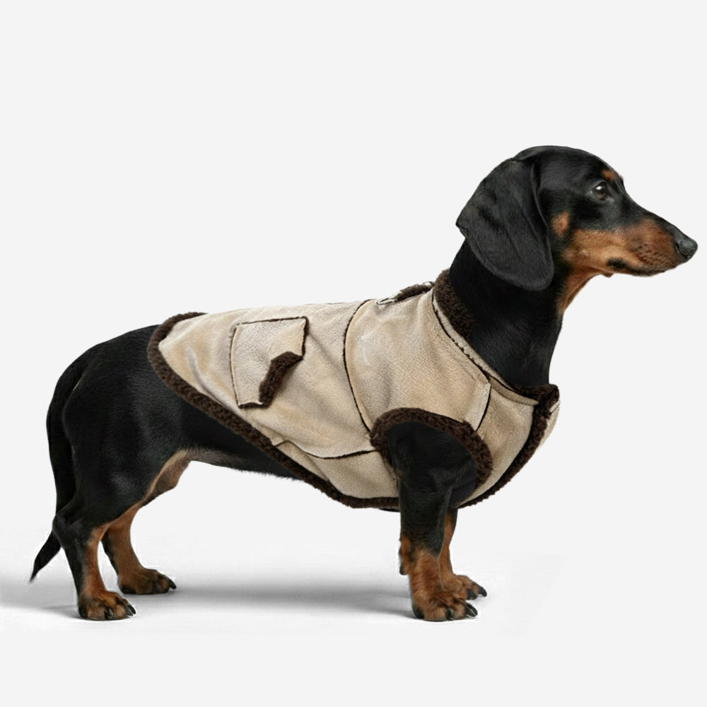 Retro Suede Dachshund Dog Jumper Dog Clothes