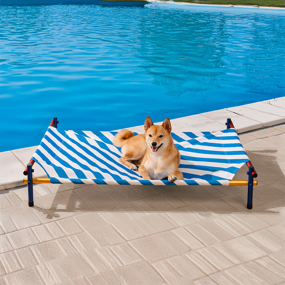 Vibrant Summer Print Style Aluminium Outdoor Elevated Dog Bed - Summer Paradise