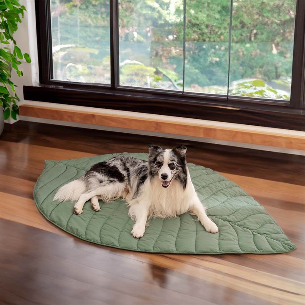 Super Large High Quality Leaf Shape Human Mat Dog Blanket