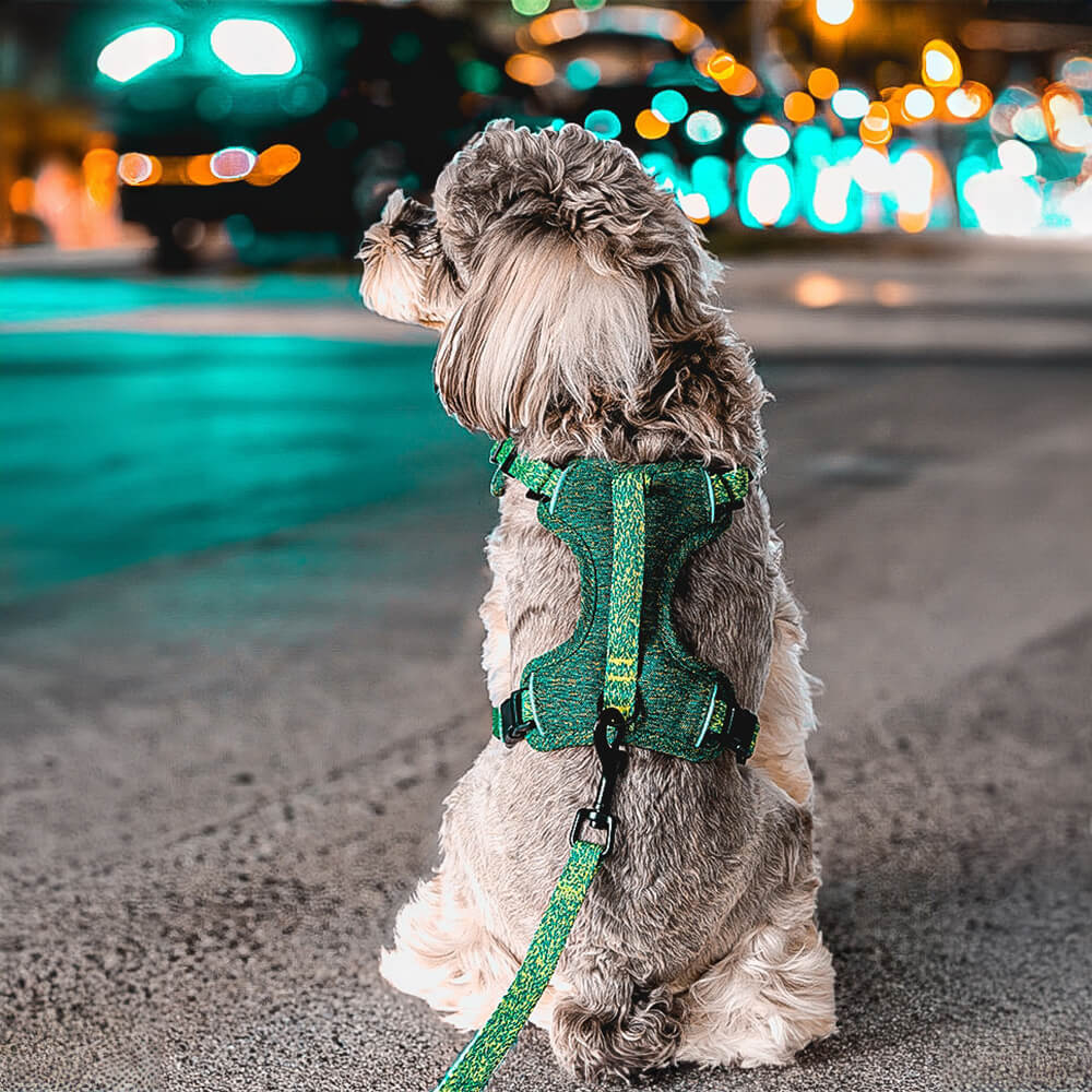 Eco-friendly Recycled Fabric No-Pull Dog Harness/Lead