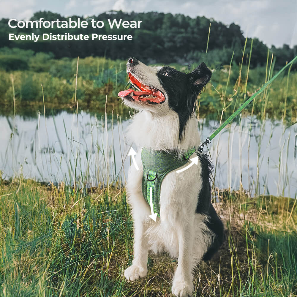 Eco-friendly Recycled Fabric No-Pull Dog Harness/Lead