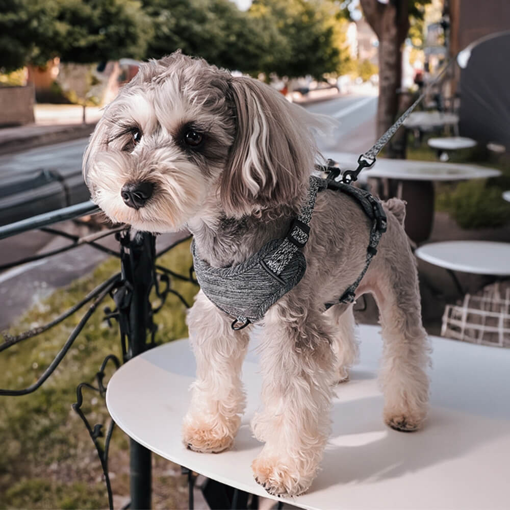 Eco-friendly Recycled Fabric No-Pull Dog Harness/Lead