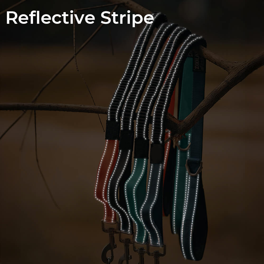 Multifunctional Reflective Anti-Pull Dog Collar and Lead