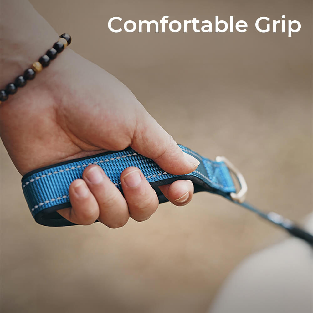 Multifunctional Reflective Anti-Pull Dog Collar and Lead