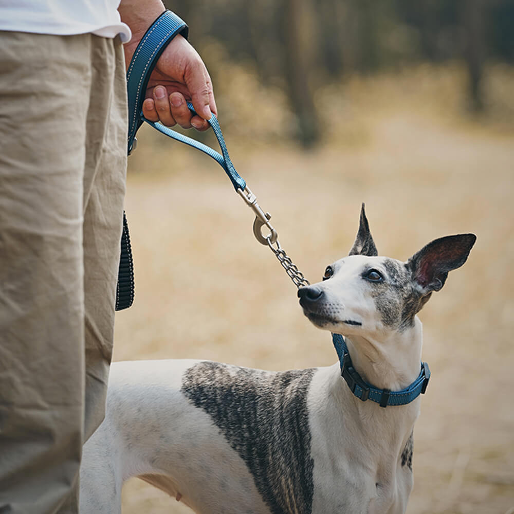 Multifunctional Reflective Anti-Pull Dog Collar and Lead